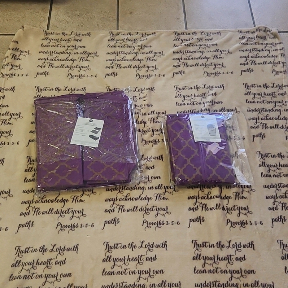 Storage organizer and free garment bag